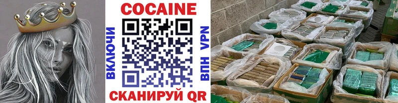 где продают наркотики  площадка наркотические препараты  Cocaine Fish Scale  Ершов 
