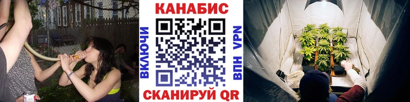 МАРИХУАНА OG Kush  Ершов 